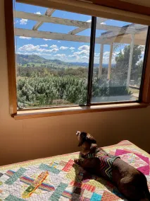 MUDGEE - expansive views, complete privacy, dog friendly holiday cottage - Image 2