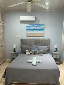 Ashanti 1, splendido appartamento con 3 camere da letto sulla costa di platino delle Barbados. - Image 5