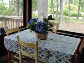 Adorable cottage set among tall pines with sandy beach -only .5  mile from town. - Image 5