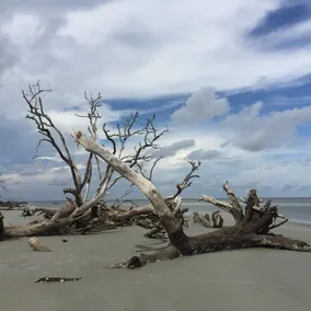 Lady Island Vacation Retreat - Image 2