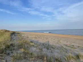 Perfect Amagansett Dunes w/ Pool ~ Private Setting Steps to World Class Beach - Image 5