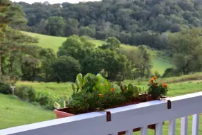 Sunnyside Country Retreat - Reunions/Events Farm stay - Image 4