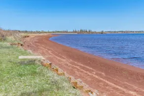 Osprey Nest - Image 5