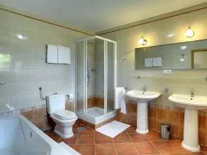 Holiday Home in Rojnici with Private Pool - Image 4