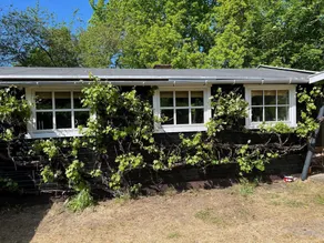 Cozy holiday home close to forest and beach - Image 4