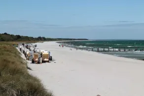 Feriehus direkte i Østersøen Zingst - Feriehus med pejs og terrasse 5 Pers. - Image 3