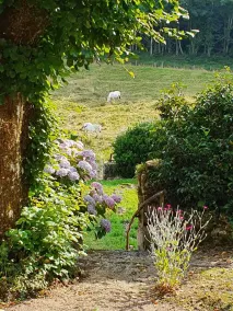 A valley in the heart of the village - Image 5