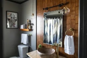 Cozy, pet friendly, Mid-Century style home loaded with books, movies, games. - Image 3