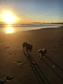 Summerland Guest Studio just steps to downtown and the beach!  Dog Friendly. - Image 2