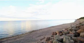 Cozy Oceanfront Cottage - Image 3
