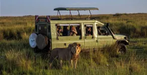 Kapoto Camp - Image 1