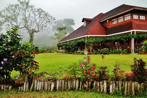Finca Hamburgo - Image 5