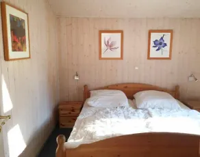Seeschwalbe 11 - Image 3