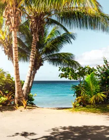 Breezy Beachfront Getaway w180 degree Oceanview - Image 3