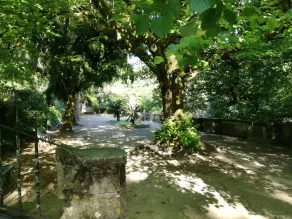Ah33 - Triple Studio - University and Historic Center - Image 4