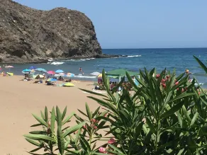 Casa Montana near the Coast - Image 3