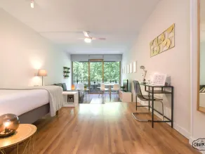 Paseo del Prado I - Studio with Terrace - Image 3