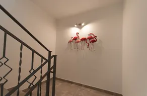 Apartamento completo en el primer piso. - Image 3