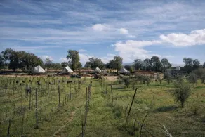 Cosmo Glamping - Image 5