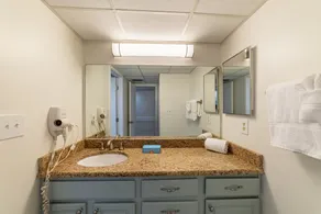 The Lily Pad! Edgewater Villa-Beautiful Pond & Golf Views-Walk In Shower - Image 5