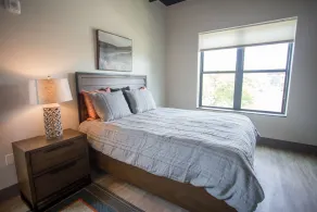 The Best of Kalamazoo - Spacious brand-new downtown apartment. - Image 5