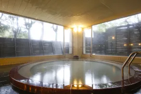 Resorpia Kumihama - Image 4