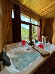 Vadidekal Suite Hotel - Image 2