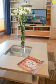 Comfortable vacation apartment Sonnenschein with covered terrace in Baabe - Image 2