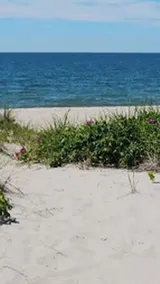 PRIVATE BEACH Ocean Beach House Cape Cod - Image 4