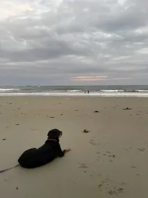 Sept 5-12 cancellation, reduced rates! Walk to beach in Wells, 1 dog welcome! - Image 3