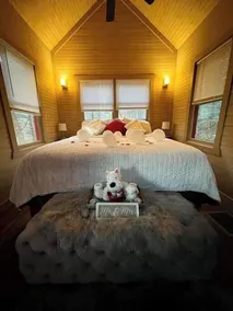 Beardsicle Bluff Cabin - Image 5
