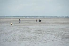 Cottage en tw playa / mar. Büsum u. St. Peter-Ording, Se aceptan mascotas - Image 5