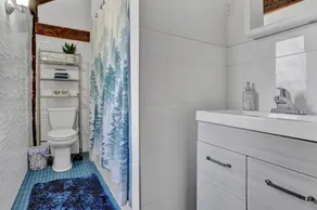 **Poconos Cave Indoor Heated Pool/Private Pond** - Image 4
