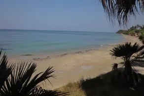 Kalamitsi Villa - Seafront House-Villa in Ionian sea surrounded by Fruit-grove - Image 4