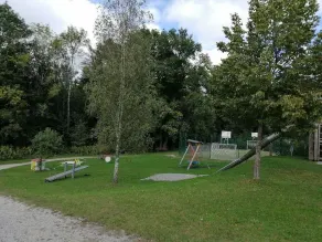Begonie - Image 3
