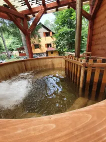 Private vacation home in the middle of the Harghita mountains surrounded by - Image 2