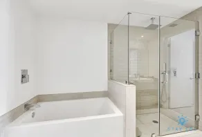Luxury Condo with Jacuzzi and Amenities - Image 3