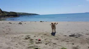 Nær Fowey, strand & Eden i venlig landsby, rolig beliggenhed, privat parkering - Image 4