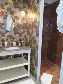 5 a 7 camere da letto / 6 BA Village House Saint Remy Area Piscina riscaldata AC Ristrutturato !!! - Image 2