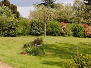 Charming cottage with private garden in Lentigny - Image 5
