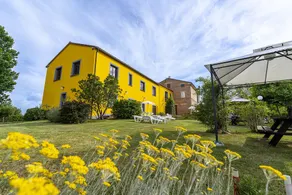 L'Olmo di Casigliano, apartment Ginestra 3 places - Image 3