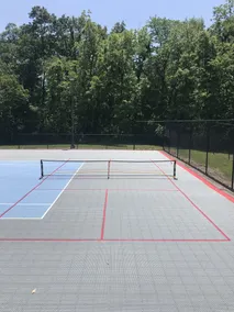 PICKLEBALL, Heated Pool, Game Room, Outdoor Oasis, Tennis, Basketball, & woods! - Image 3