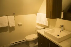 Cozy cottage with jacuzzi and access to lake - Image 4