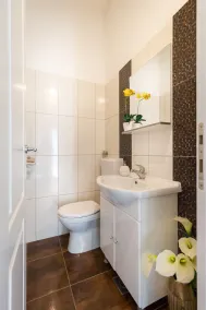 Villa with a view to nature, hydromassage heated pool, authentic stone property - Image 3