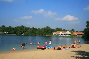 Pet-friendly villa in Park Ankeveen - Image 5
