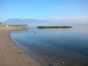 Top Vancouver location 2011-2016! Maison d'entraîneur licenciée à Kitsilano (# 18-549814) - Image 3