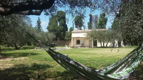 Authentic mazet with swimming pool set in 2 hectares of olive groves - Image 5