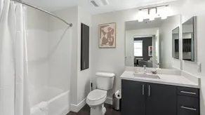 Landing Furnished Apartments - New Caney - Image 4