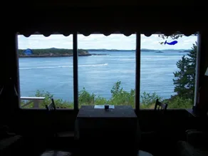 Wal einer Ansicht, Campobello Island - Image 5