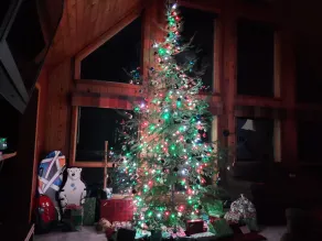 Cozy Cabin on the Lake - Image 2